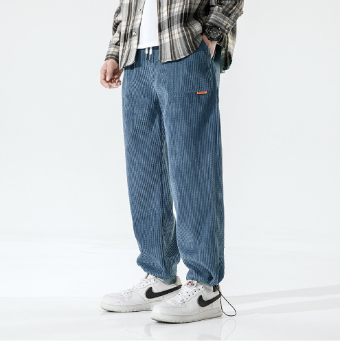 Eddy Freizeit-Hose aus Cord